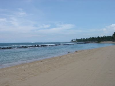 DSC00074.jpg