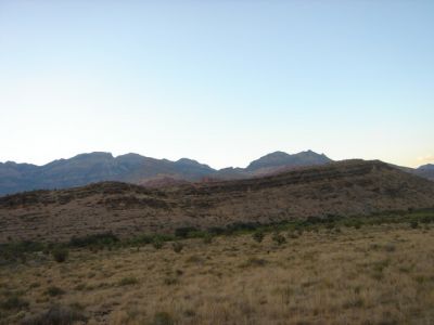 DSC00911.jpg